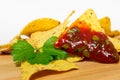 Nachos corn chips with classic tomato salsa.