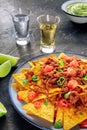 Nachos, Mexican food, tortilla chips with beef and fresh vegetables Royalty Free Stock Photo