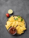 Nachos or tortilla with spicy tomato sauce on a plate on a dark background. Corn chips with salsa sauce. Classic Mexican snack Royalty Free Stock Photo