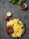 Nachos or tortilla with spicy tomato sauce on a plate with fresh herbs on a dark background. Corn chips with salsa sauce Royalty Free Stock Photo