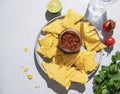 Nachos or tortilla with spicy tomato sauce on a plate with fresh herbs on a white background with shadow. Corn chips with salsa Royalty Free Stock Photo