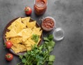 Nachos or tortilla with spicy tomato sauce on a plate with fresh vegetables and herbs on a dark background. Corn chips with salsa Royalty Free Stock Photo