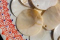Nacre seashell background texture Royalty Free Stock Photo
