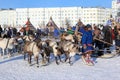 Reindeer herder leads a team during a holiday in northern Siberia