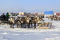 Yamal, open area, tundra,The extreme north,  Races on reindeer sled in the Reindeer Herder`s Royalty Free Stock Photo