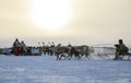Nadym, Russia : Yamal, open area, tundra,The extreme north, Races on reindeer sled in the Reindeer Herder's Royalty Free Stock Photo