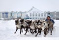 NADYM, RUSSIA - MARCH 16, 2008: Racing on deer during holiday of