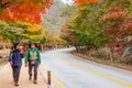 NAEJANGSAN,KOREA - NOVEMBER 1: Tourists taking photos. Royalty Free Stock Photo