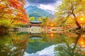 NAEJANGSAN,KOREA - NOVEMBER 1: Tourists taking photos. Royalty Free Stock Photo