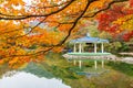 NAEJANGSAN,KOREA - NOVEMBER 1: Tourists taking photos. Royalty Free Stock Photo