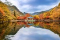 NAEJANGSAN, KOREA - NOVEMBER 1: Tourists taking photos. Royalty Free Stock Photo