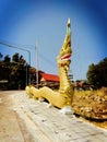 Naga in the Forest Temple Royalty Free Stock Photo