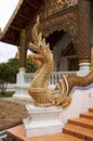 Naga guarding the Temple entrance Royalty Free Stock Photo