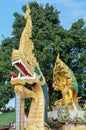 Naga Nongkai, Thailand Royalty Free Stock Photo