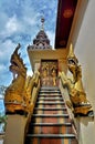The Naga staircase Royalty Free Stock Photo