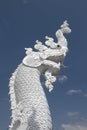 Naga statue head against blue sky background Royalty Free Stock Photo