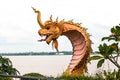 naga statue at river side in public park between Thailand and la