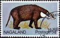 NAGALAND STATE - CIRCA 1969: A stamp printed in India shows a badger, circa 1969. Royalty Free Stock Photo