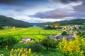 Nagano Prefecture, Japan at rual Tanokuchi Rice Terraces