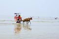 NAGAON BEACH, MAHARASHTRA, INDIA 13 JAN 2018. Tourists enjoy a horse cart ride