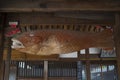 Gyoban wooden fish percussion instrument in Sofukuji Temple, Nagasaki, Japan