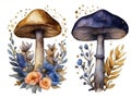 nagical toadstool design elements Royalty Free Stock Photo