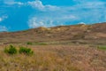 Nagliai dune at Curonian spit in Lithuania Royalty Free Stock Photo