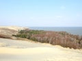 Nagliu dunes in Neringa, Lithuania