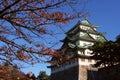 Nagoya Castle of Japan Royalty Free Stock Photo