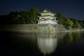 Nagoya Castle at Night - Japan