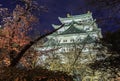 Nagoya Castle 10