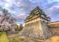 Nagoya Castle 5 Royalty Free Stock Photo