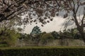 Nagoya Castle Royalty Free Stock Photo