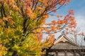 Shinshu Otaniha Nagoya Betsuin. Temple and autumn maple in Nagoya, Japan