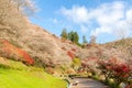 Nagoya, Obara Sakura in autumn Royalty Free Stock Photo