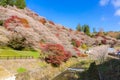 Nagoya, Obara Sakura in autumn Royalty Free Stock Photo