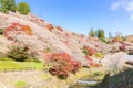 Nagoya, Obara Sakura in autumn Royalty Free Stock Photo