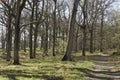 Nagshead RSPB Reserve Royalty Free Stock Photo