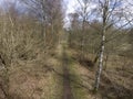 Nagshead RSPB Reserve, Gloucestershire Royalty Free Stock Photo