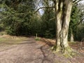 Nagshead RSPB Reserve, Gloucestershire Royalty Free Stock Photo