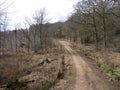 Nagshead RSPB Reserve, Gloucestershire