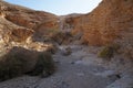 Nahal Amram near Eilat, South Israel