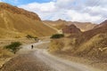 Nahal Shlomo desert valley, Eilat Mountains