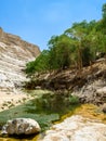 The Nahal Zin, En Akev in Negev Desert, Israel Royalty Free Stock Photo