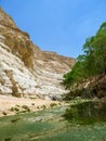 The Nahal Zin, En Akev in Negev Desert, Israel