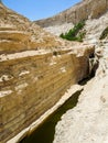 The Nahal Zin in Negev Desert, Israel