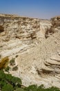 The Nahal Zin in Negev Desert, Israel