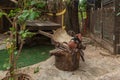 The horse saddle is on a wooden stump in the lower yard on exhibition in the Gardens Almona collection, in the rays of the setting