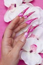 Nail art with colors pink