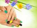 Nail Art . Nail Designs Royalty Free Stock Photo